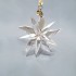 Swarovski Kristal | Kerst | Kerst Ornamenten | SCS - Jaarlijkse Editie Ornament Edelweiss 2023 | 5651063